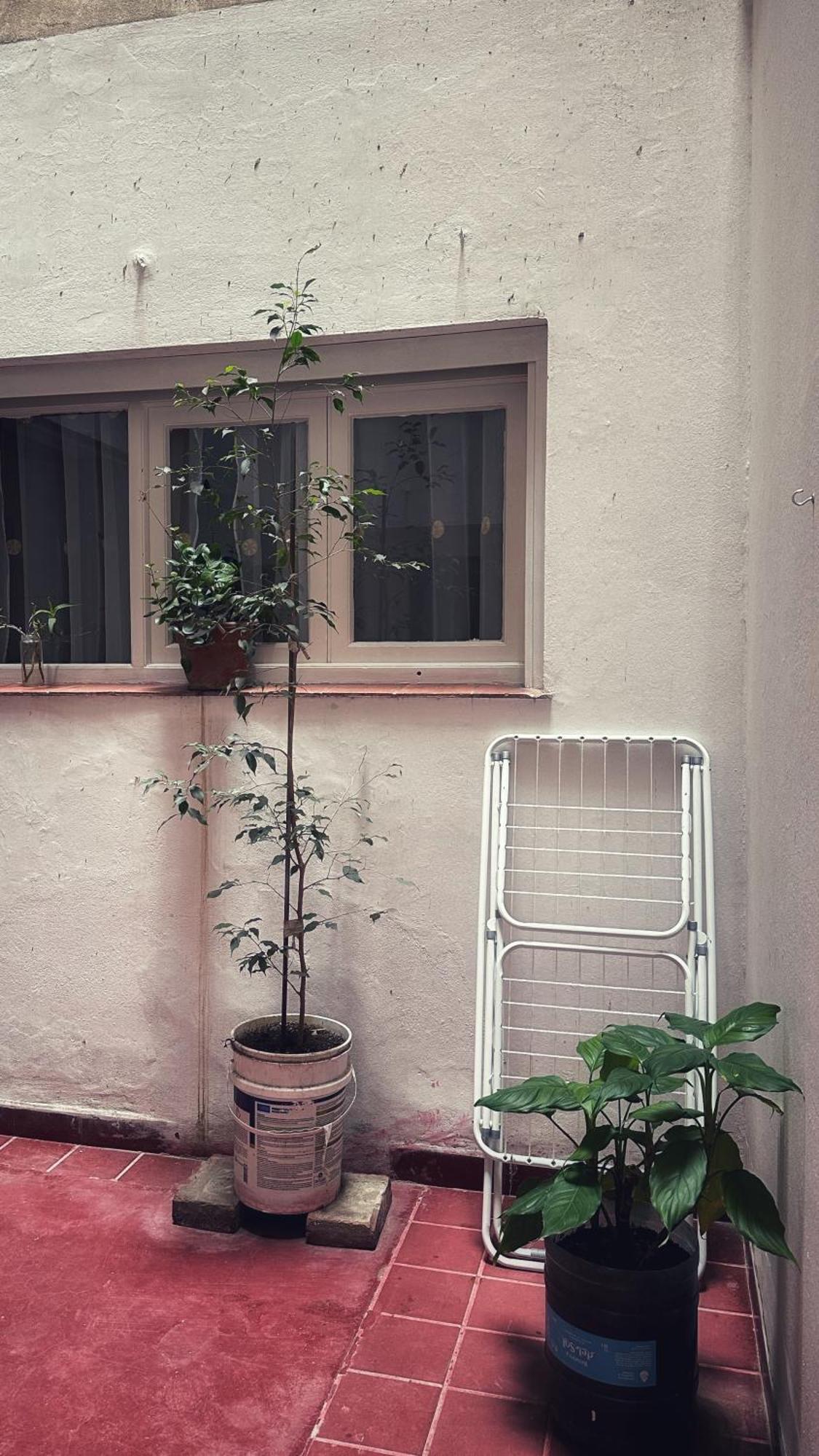 Appartement El Oasis à Mendoza Extérieur photo